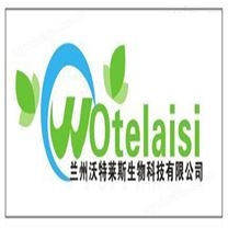 銀杏葉粉 銀杏提取物20:1 水提/醇貨
