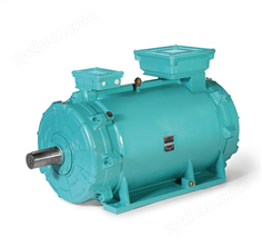 ADDA防水W系列水冷式三相異步電動機