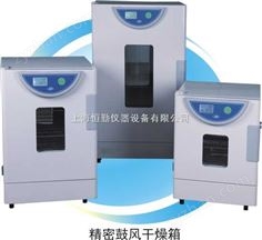 精密鼓風(fēng)干燥箱BPG-9040A